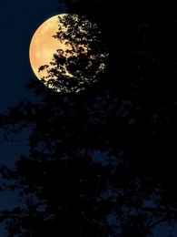 Tập 15 - Lật Mặt Chồng Cũ Bạn Thân