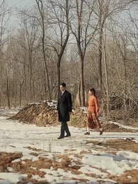 Reborn to Save Brother: Divorce & Consequences - Episode 36