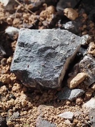 第1集 - 至高至明日月