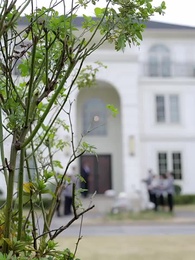 Episódio 1 - A Demissão Que Custou Tudo