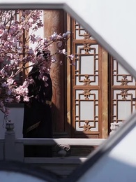 第46集 - 至高至明日月