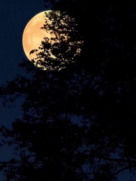 被丈夫的青梅污蔑後，我專治不服 - Episode 15