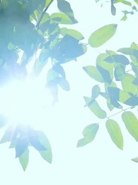 بقوة الأمة، أرسلني إلى المستقبل - Episode 3