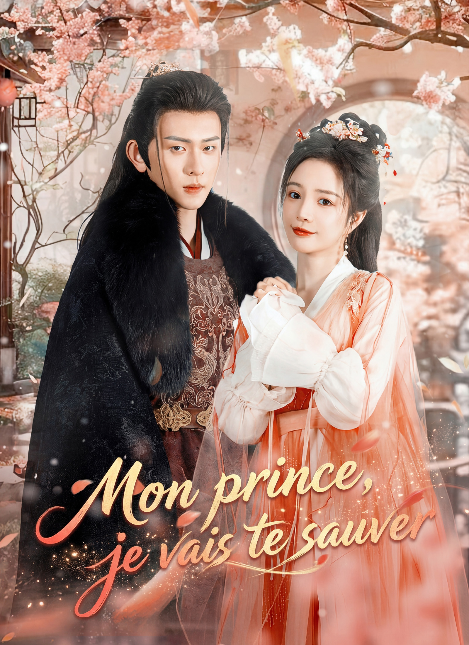Couverture de Mon prince, je vais te sauver