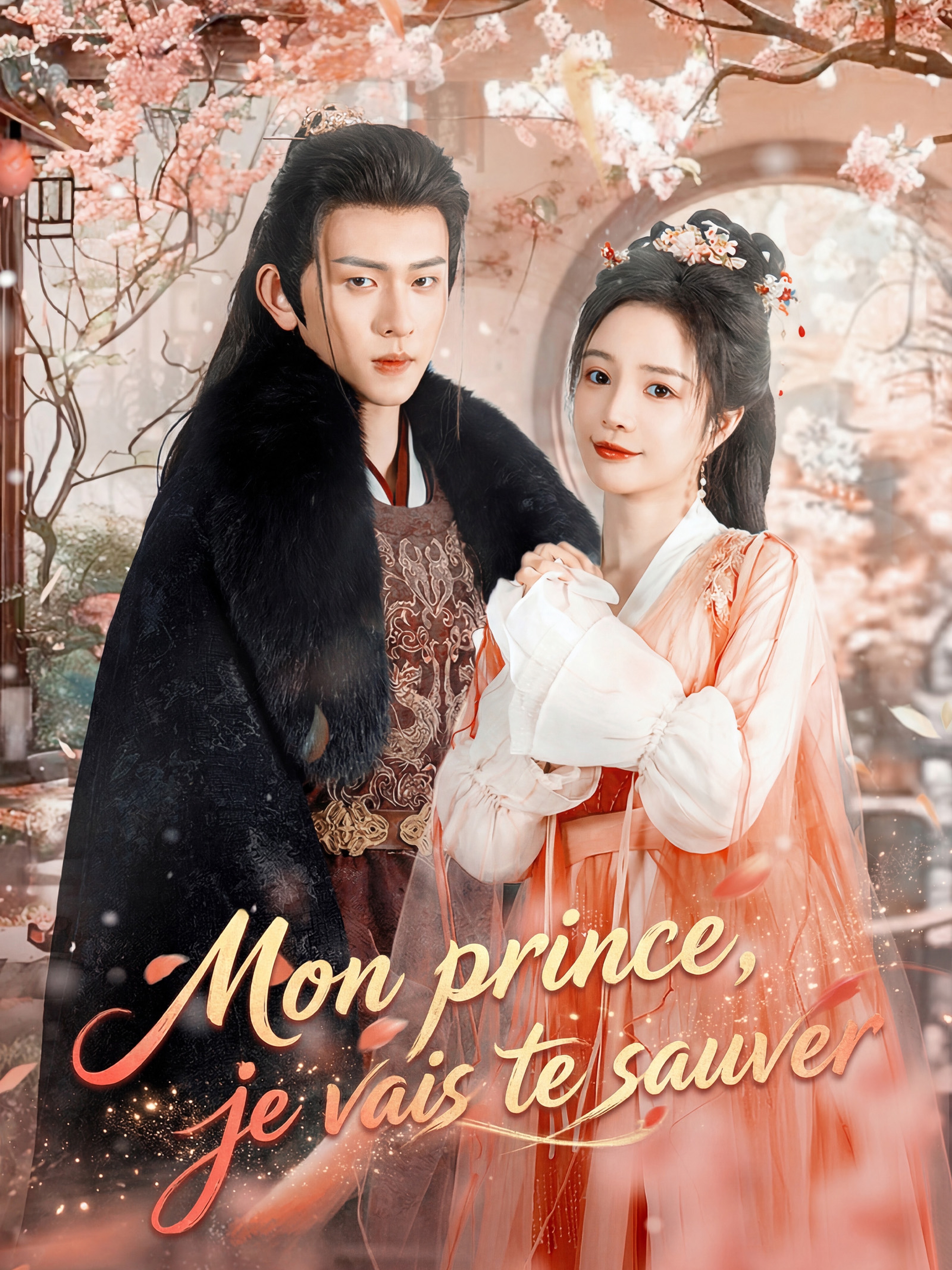 Mon prince, je vais te sauver