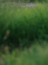 بقوة الأمة، أرسلني إلى المستقبل - Episode 47