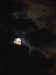 第28集 - 被丈夫的青梅污蔑後,我專治不服