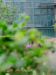 เมื่อรักกลายเป็นอุปสรรคของมรดก - Episode 51