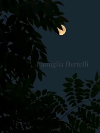 Episodio 29 - La Mia Vendetta dopo il Tradimento dell'amica