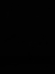 Episódio 58 - [Dublado]O Despertar