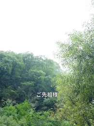 500年生きた私が、末裔の妻に恋敵扱い？ - Episode 19