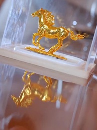 第15集 - 金光照破小人心