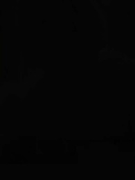 Episódio 59 - [Dublado]O Despertar