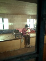 Golden Eyes 1984: Redeem My Family - Episode 3