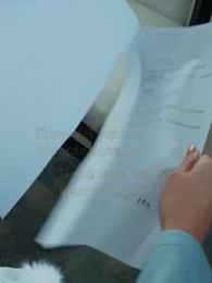 Episodio 31 - Por Mi Bebé Perdido