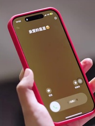 燕雀難登鳳凰臺 - Episode 7