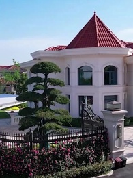 第55集 - 出獄後，她成了封少心尖寵