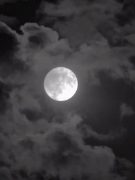 Von der Stange zum Star: Die wahre Erbin - Episode 39