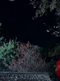 半生風雨半霓裳 - Episode 23