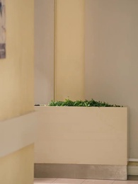 Возвращение Джойс: путь к правде - Episode 53