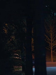 Elle succombe à l'amour - Episode 1