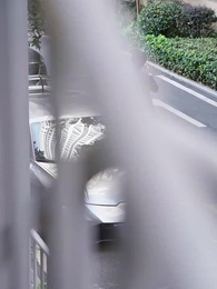 第18集 - 出獄後，她成了封少心尖寵