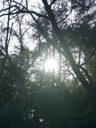 Episode 6 - [Dubbed]Hidden No More