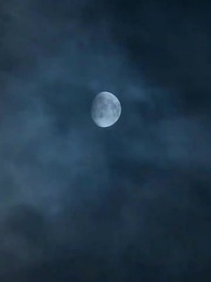 Episodio 2 - El Príncipe y la Carnicera