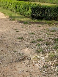 Homeless Rogue, My Unexpected Mate(updating) - Episode 7