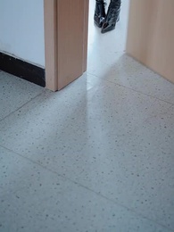 Episodio 37 - El Chip del Destino