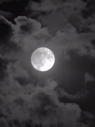 O Palco Que Sempre Foi Meu - Episode 39