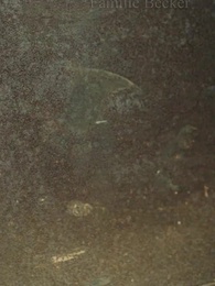 Episode 30 - Das Kuckuckskind und die zweite Chance