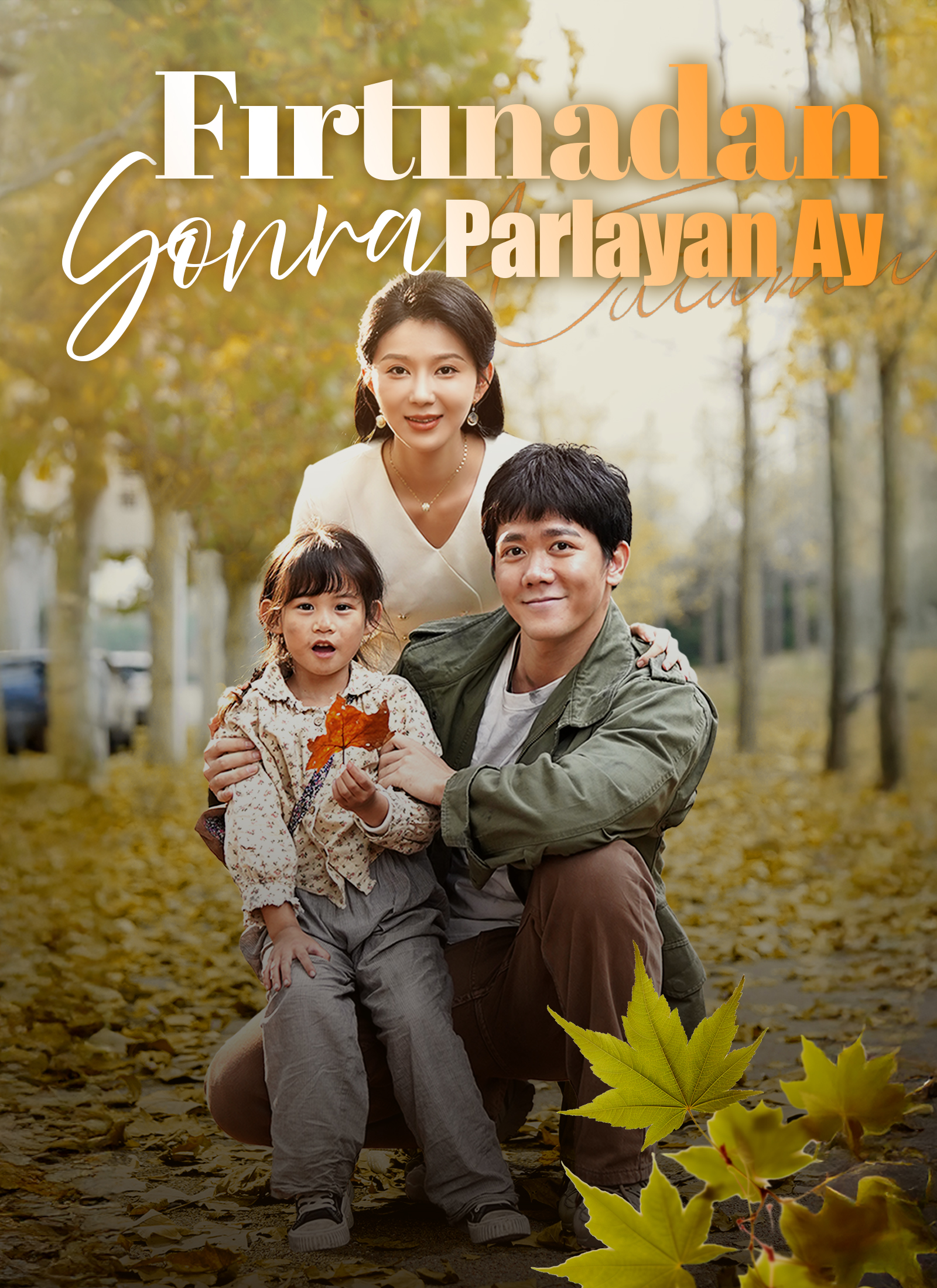 Fırtınadan Sonra Parlayan Ay dizi posteri