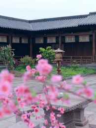 الحلقة 37 - عهد الزنجفر