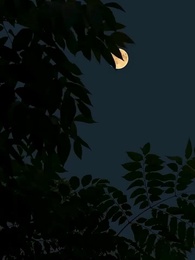 Minha Doce Vingança - Episode 29