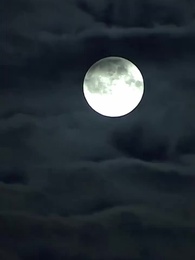 第6集 - 蘇醒歸來，手撕遺囑