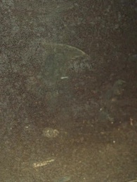 Episódio 30 - Minha Doce Vingança