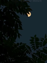 Episode 29 - Das Kuckuckskind und die zweite Chance