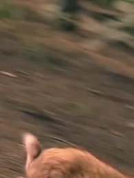 Episode 18 - [Dubbed]Hidden No More