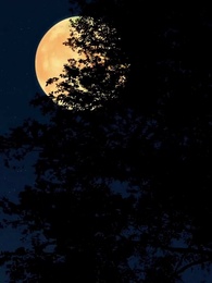 Minha Doce Vingança - Episode 15