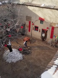 Episode 2 - Das Kuckuckskind und die zweite Chance