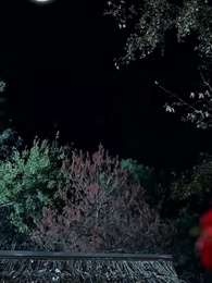 Episode 23 - Not the Crown, But You Alone