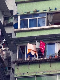 Episodio 7 - Todo cambió por ella