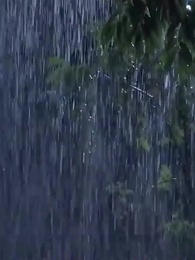 الحلقة 24 - [مدبلج]حبّ في غير أوانه