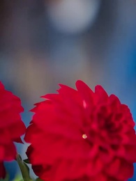 共度春山萬重難 - Episode 6