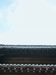 Episódio 15 - Era Você, em Qualquer Vida