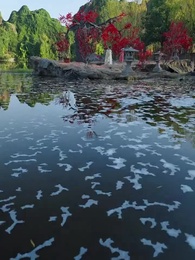 第14集 - 共度春山萬重難