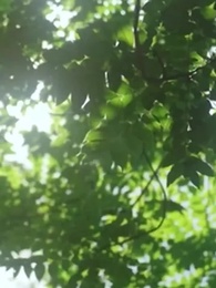 第44集 - 我想我們在一起