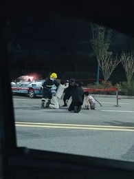 Tập 23 - [Lồng tiếng]Tấm Gương Của Sự Phản Bội