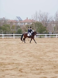 第34集 - 晚風易散難相愛